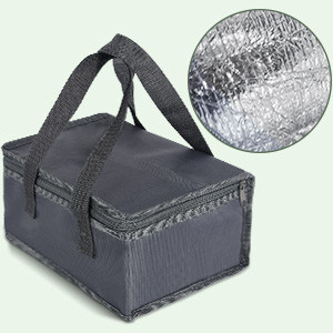 heating lunch box for car