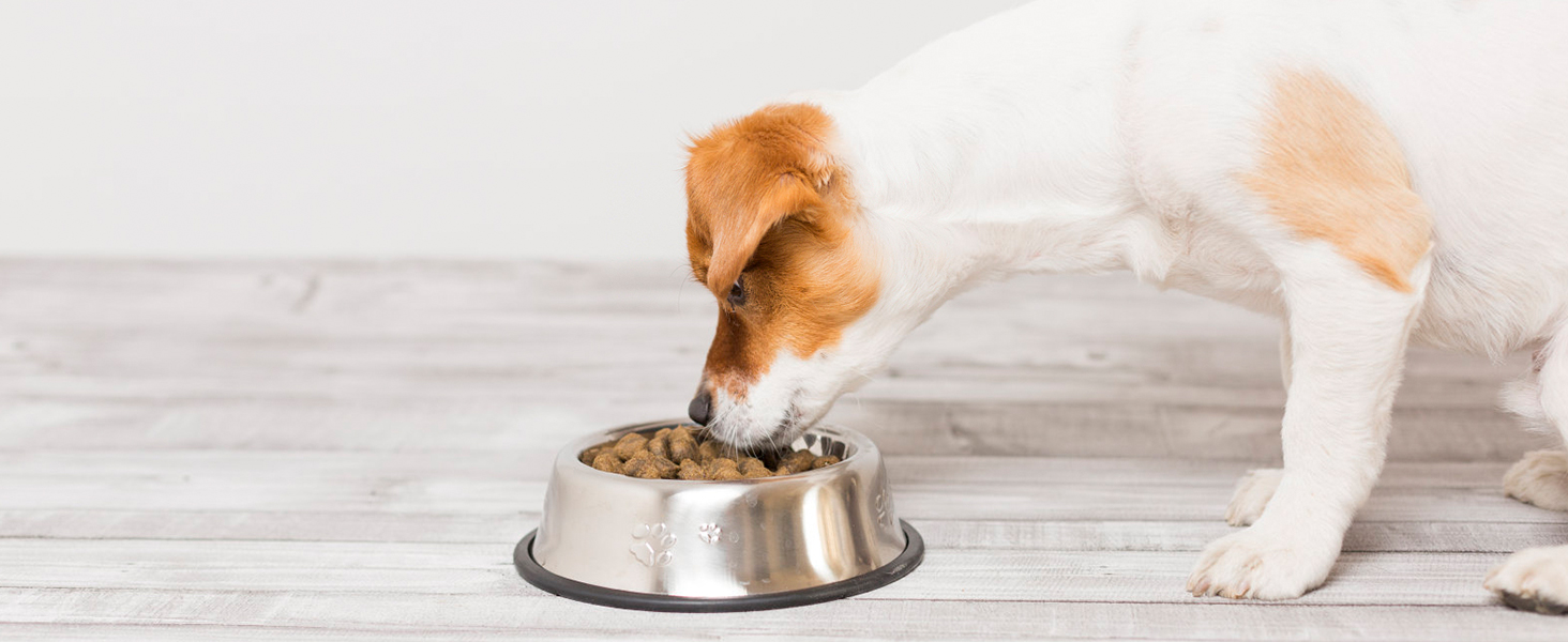 kitchen weight scale