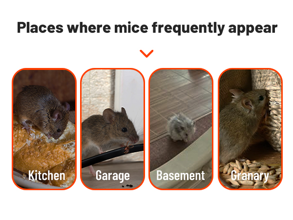 rat traps indoor for home