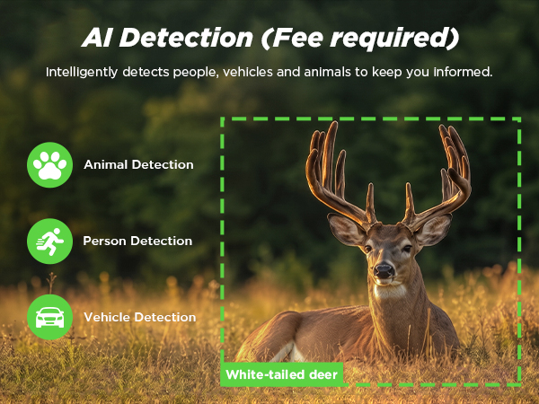 trail camera