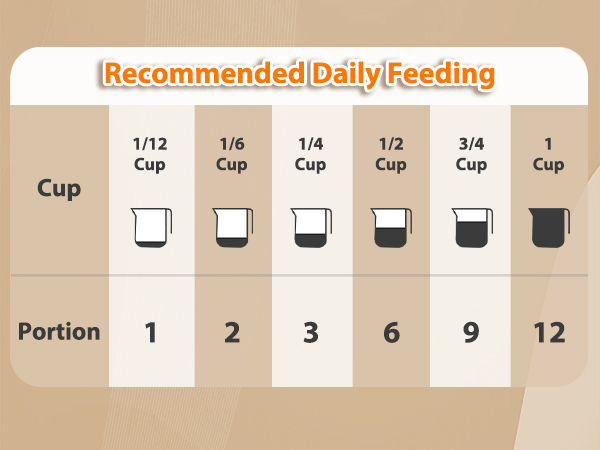 automatic food dispenser for cats