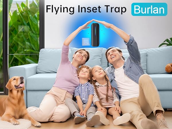 fly trap indoor