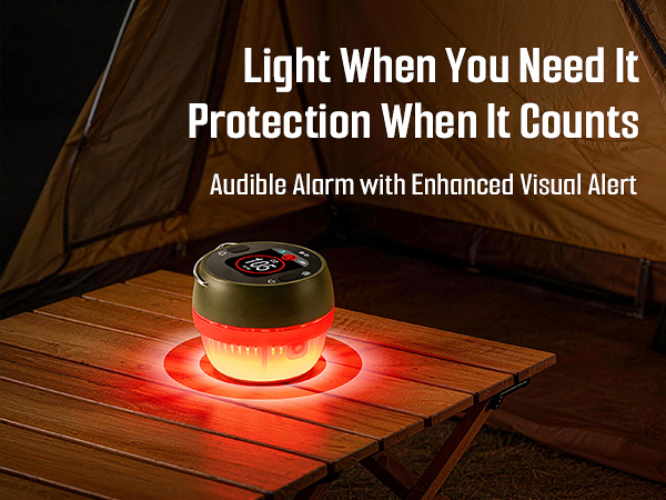 DS-X1 portable carbon monoxide detector