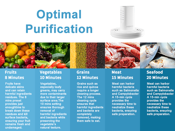 portable fruit and vegetable washing machine