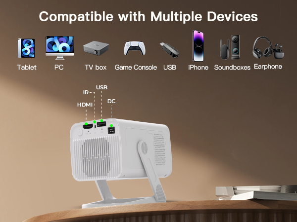 Multiple Playback Support projector