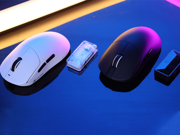 Computer Mouse for Medium to Large Hand