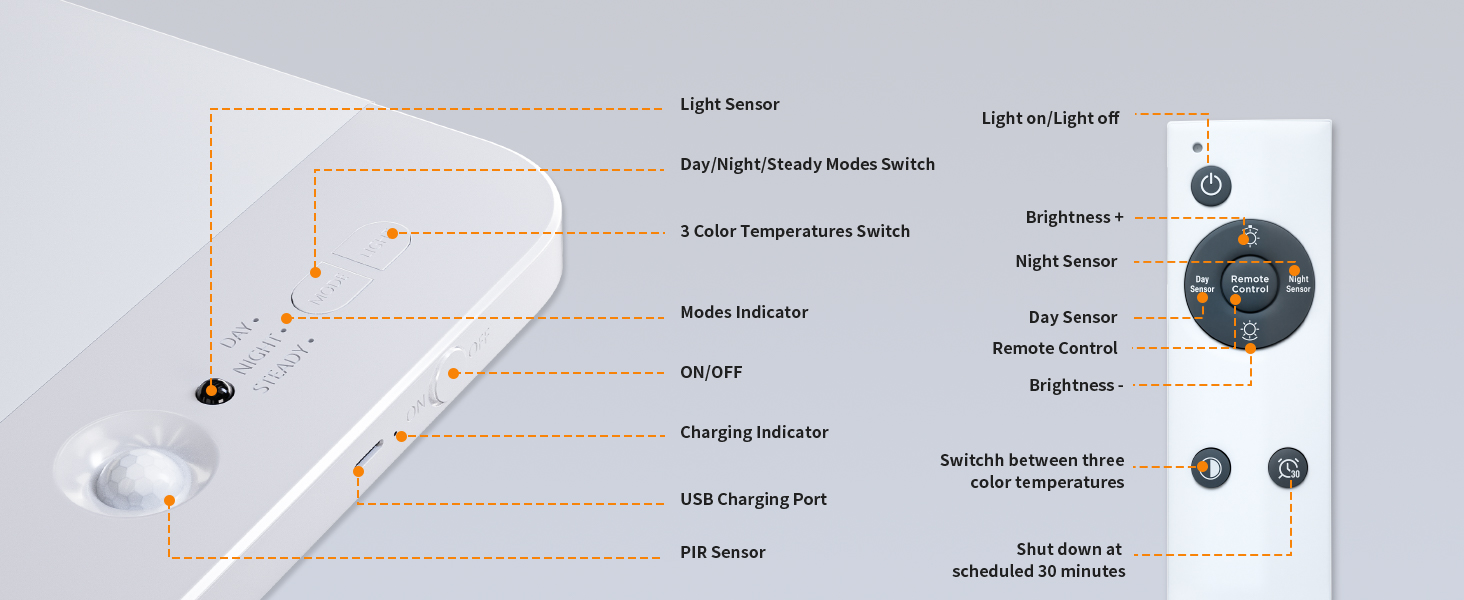 Remote &amp; Button Control