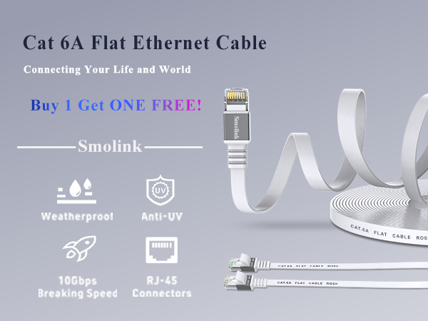 cat 6a ethernet cable