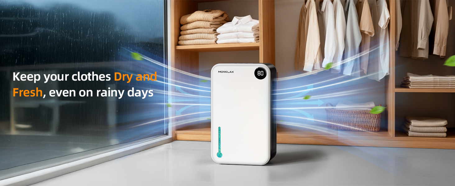 home Dehumidifier