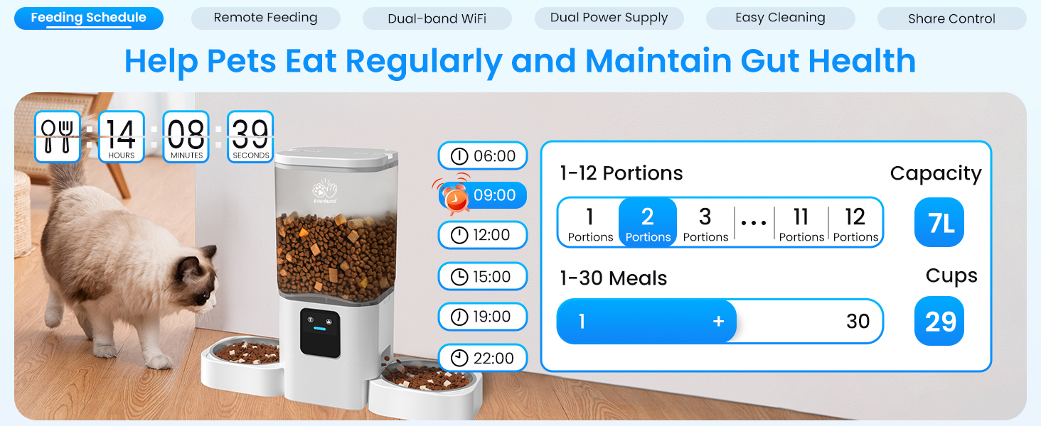 automatic cat feeders 2 cat