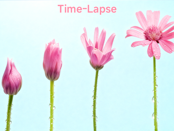 time-lapse video record