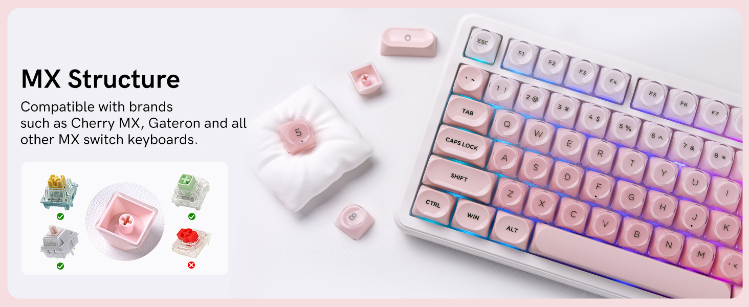 keycap set is compatible with most MX-style mechanical switches