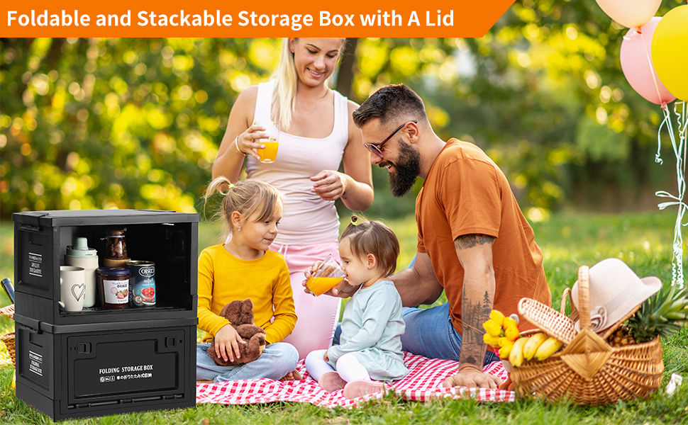 Collapsible Storage Bins