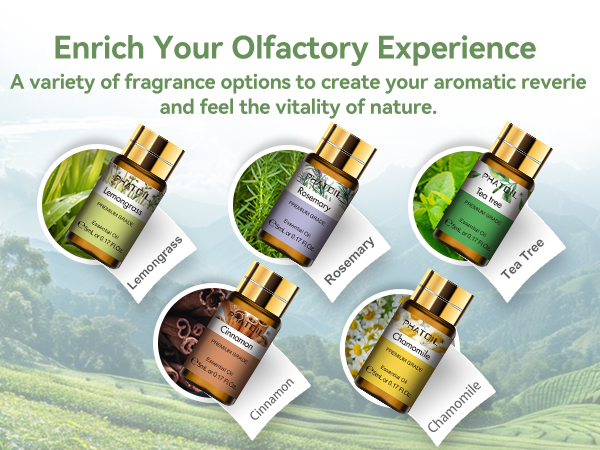 PHATOIL Essential Oils Gift Set