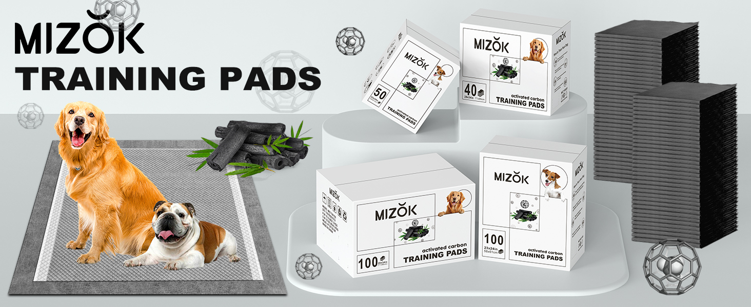 MC718640-PC-A+1