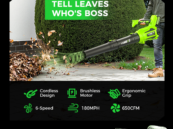 leaf blower