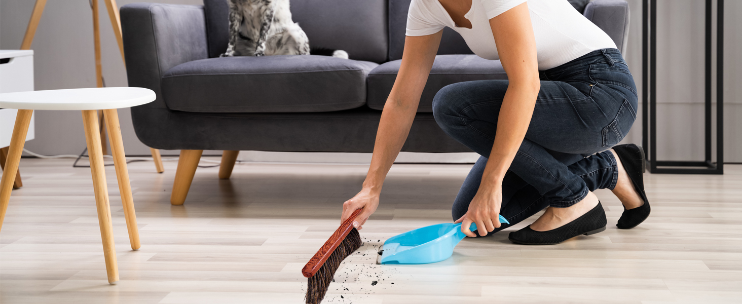 car dust brush