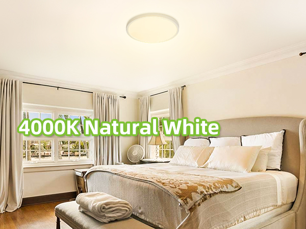 LED Round Flat Panel Light