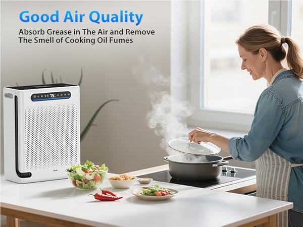 home air purifiers