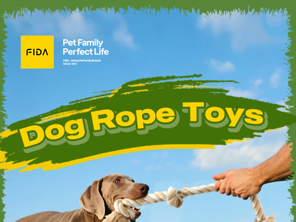dog rope toys
