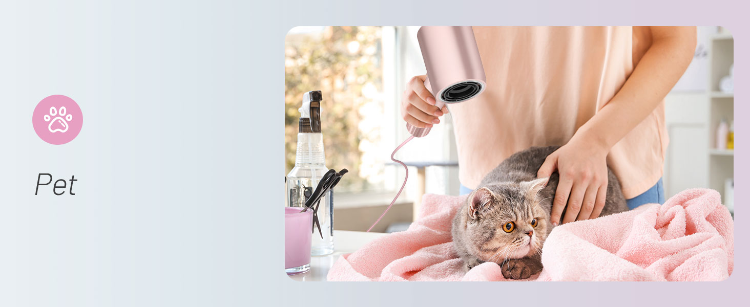 blow dryer with diffuser portable dryer
