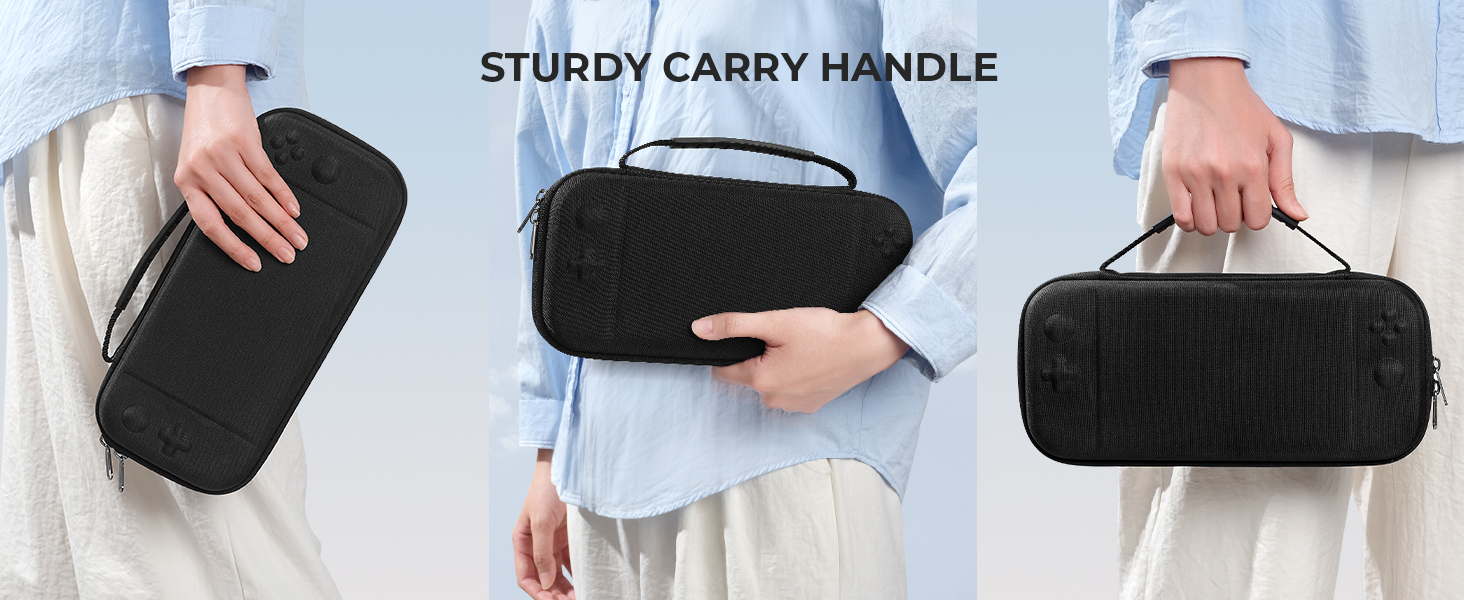 carrying case
