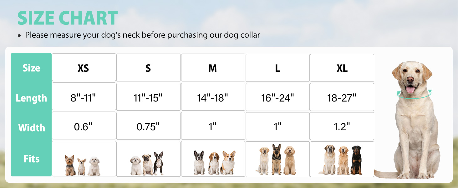 dog collar size chart