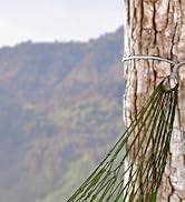 tree trimmers long handle pruner branch cutter camping gear must haves hand saw for wood cutting