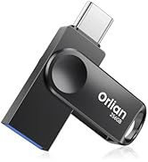 Orlian 256GB USB-C &amp; USB-A Dual Flash Drive, Waterproof, Metal, Slim Thumb Drive, OTG for PC, Sma...