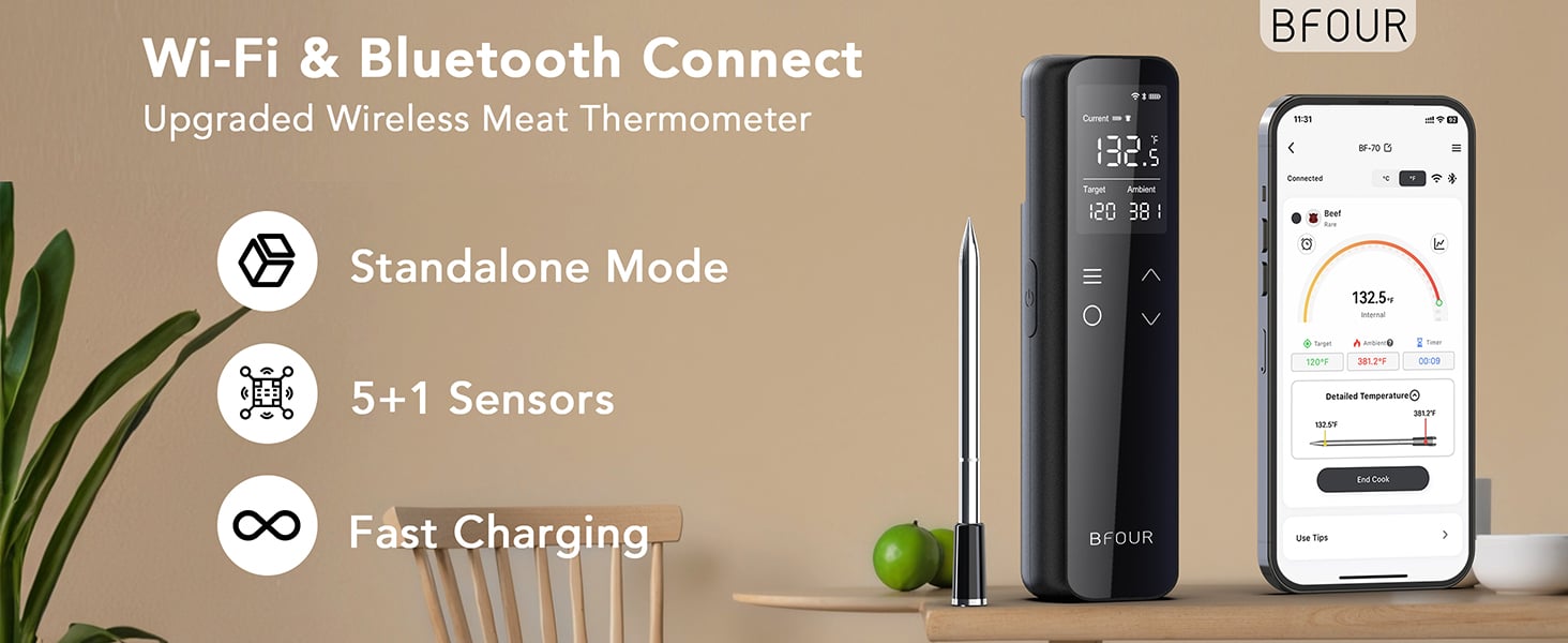 meat thermometer digital