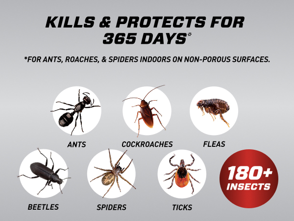 Protects for 365 Days