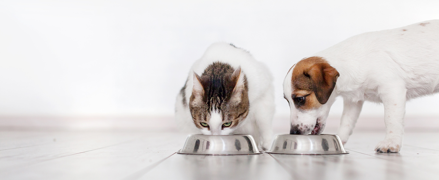 Give your pets the perfect amount of food with every meal