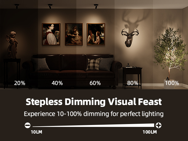 plant spotlight indoor