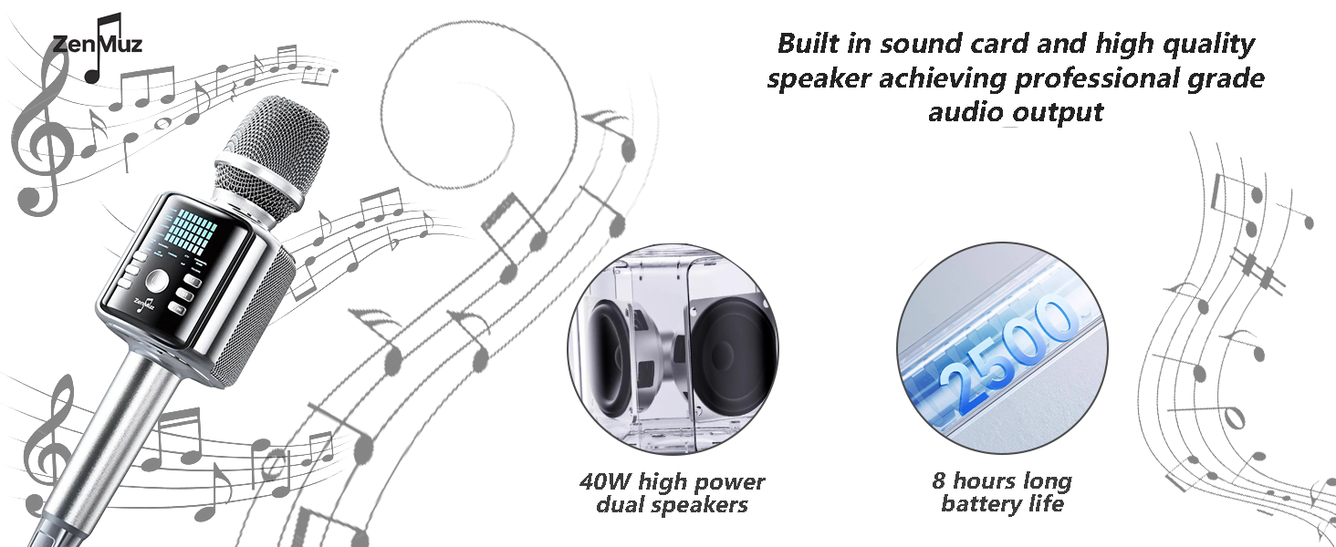  Professional Wireless Karaoke Microphone 