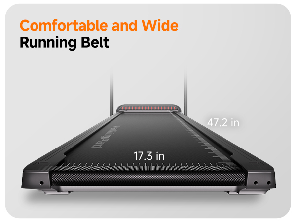 wide belt