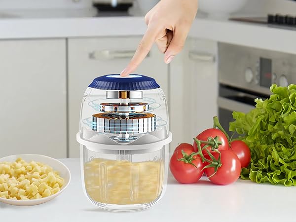 rechargeable processor