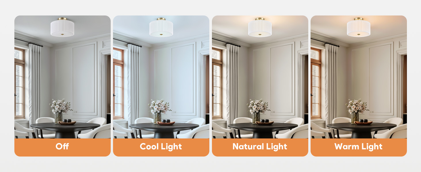 Ceiling Light Fixture