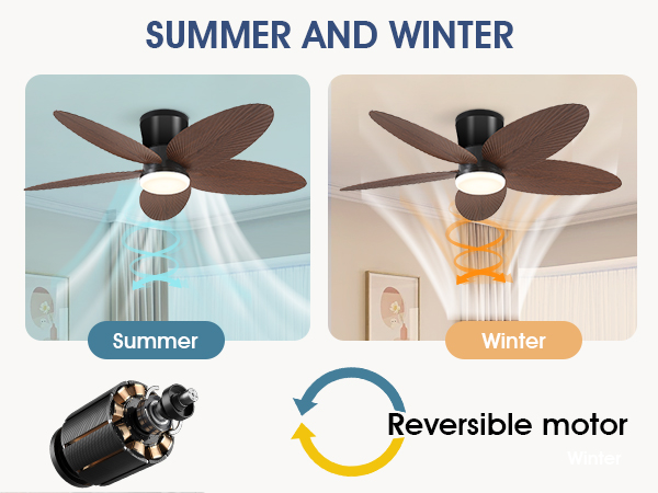 ceiling fan