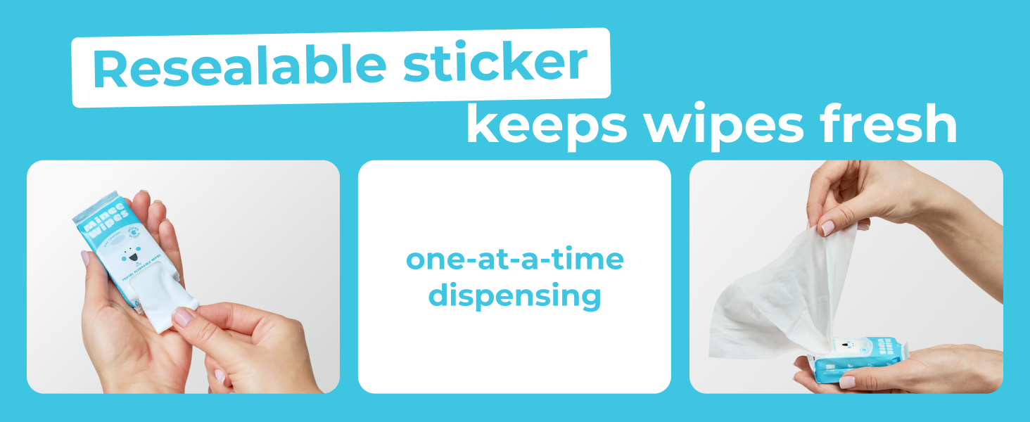 wet wipes travel size