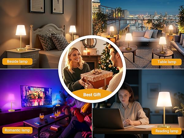 Rechargeable cordless LED desk lamp