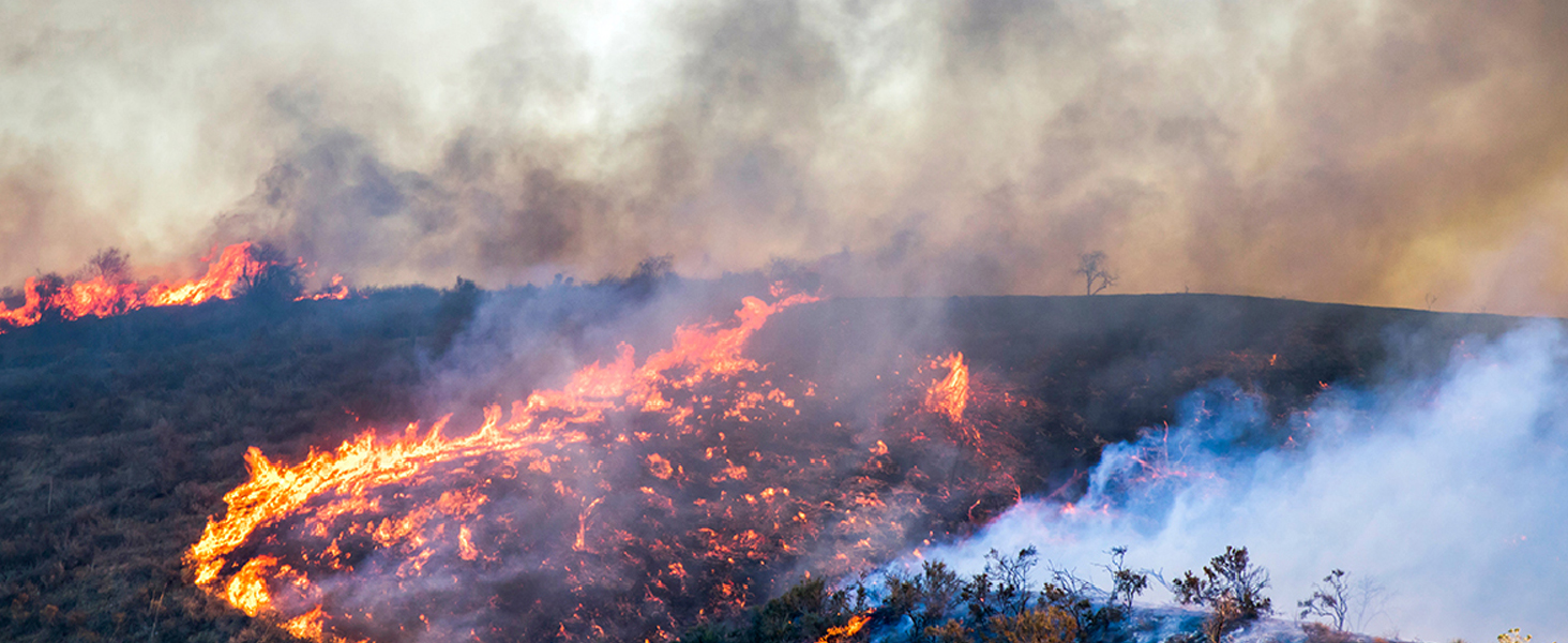 Air Purifier for wildfire