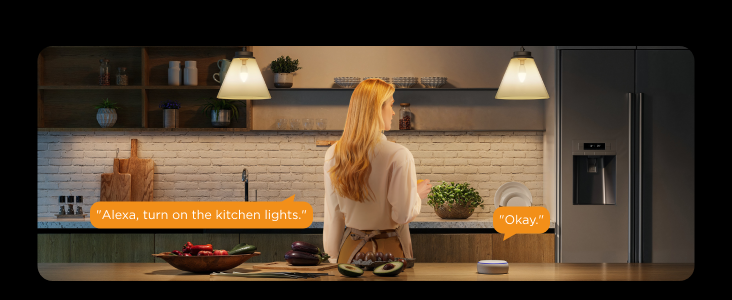 600B voice control-PC