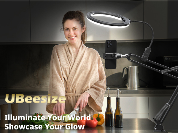 overhead phone mount