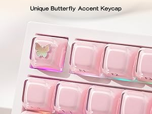 Lusterfly jelly kecaps set