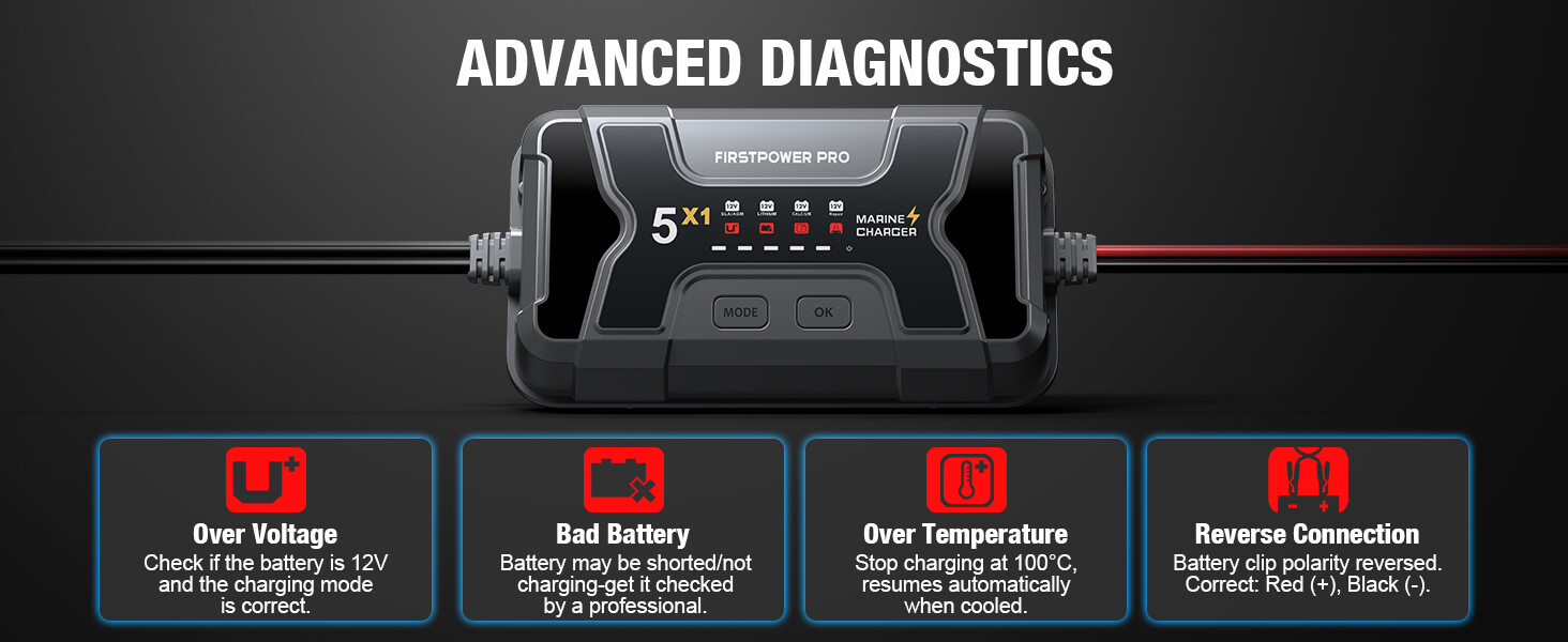1 bank lifepo4 battery charger