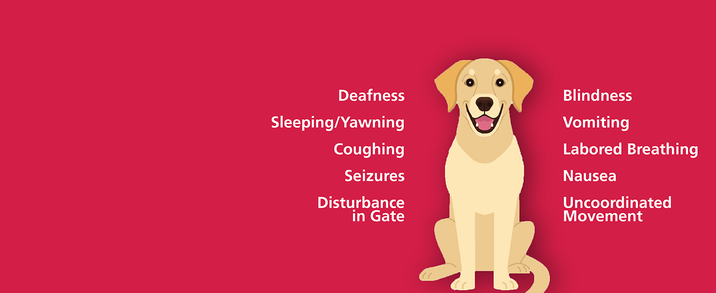 Kidde Nighthawk Carbon Monoxide Detector