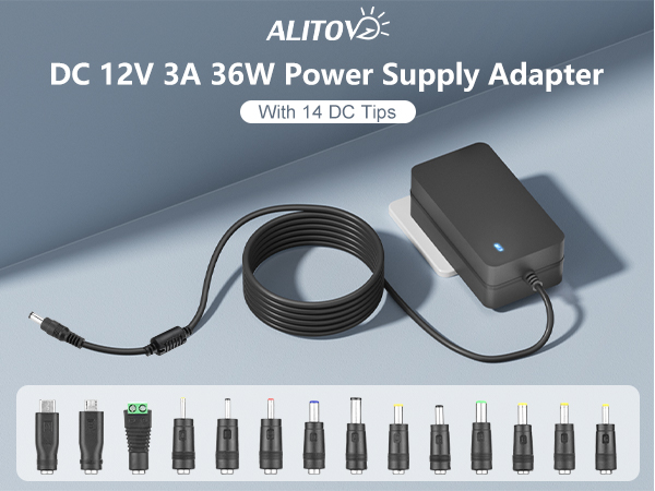 12V 2.5A