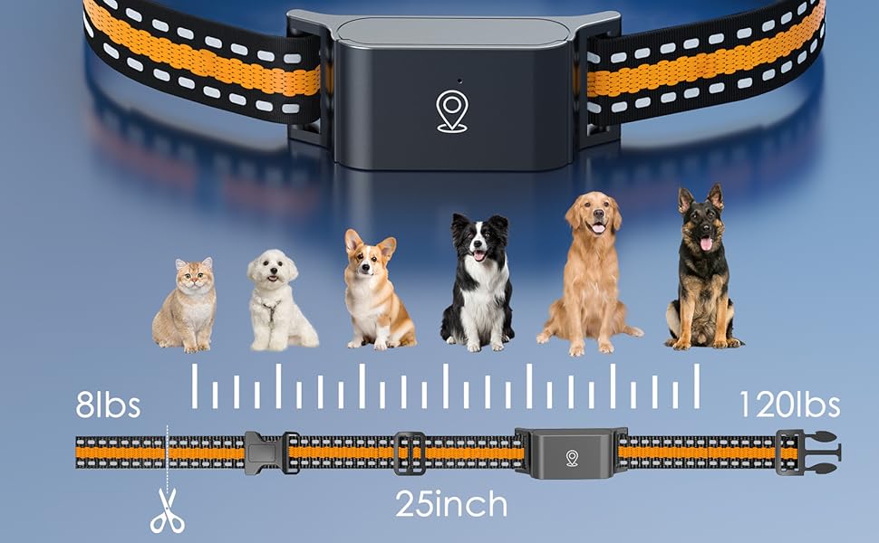 Dog GPS Tracker Real-Time Tracking Breakaway Collar
