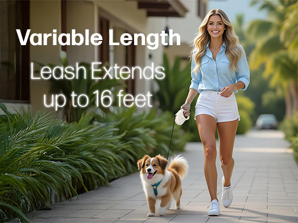 a woman walking her dog with a tug leash at a tropical resort 