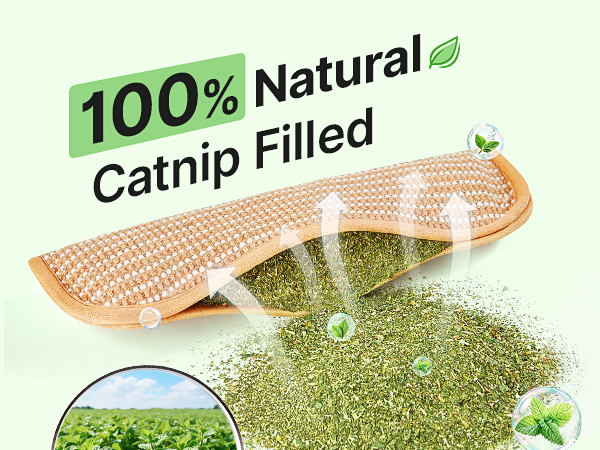 catnip toys